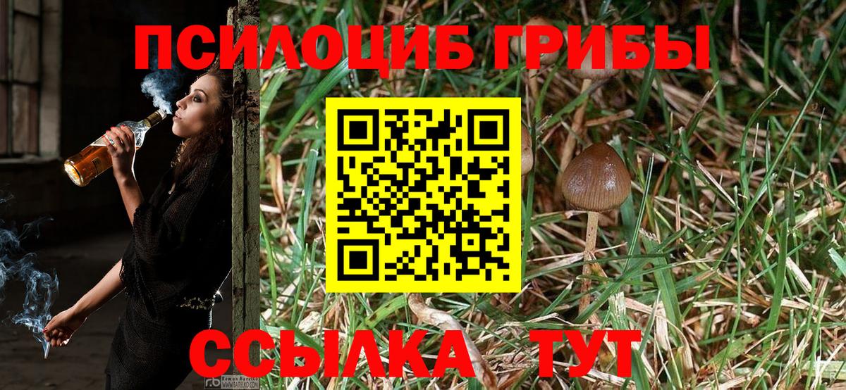 Ногинск  Галлюциногенные грибы Magic Shrooms  Вход с VPN 
