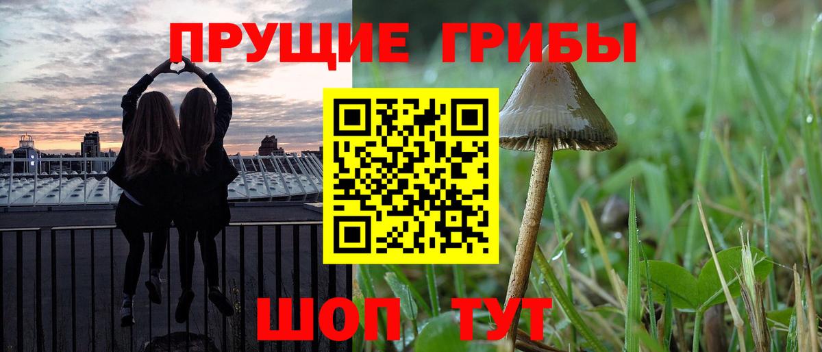 Галлюциногенные грибы ЛСД Ногинск
